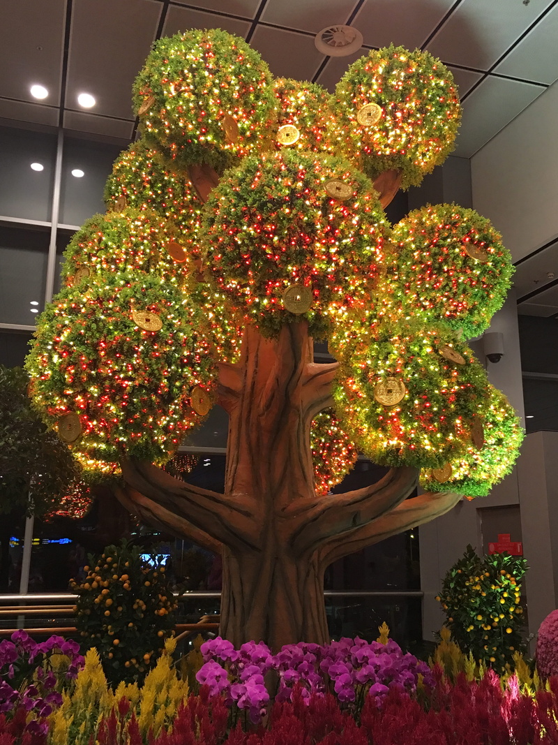 celebration, plant, 4K, close-up, christmas, chinese lucky tree, ceiling, lucky tree, illuminated, architecture, flower, money tree, nature, tree, no people