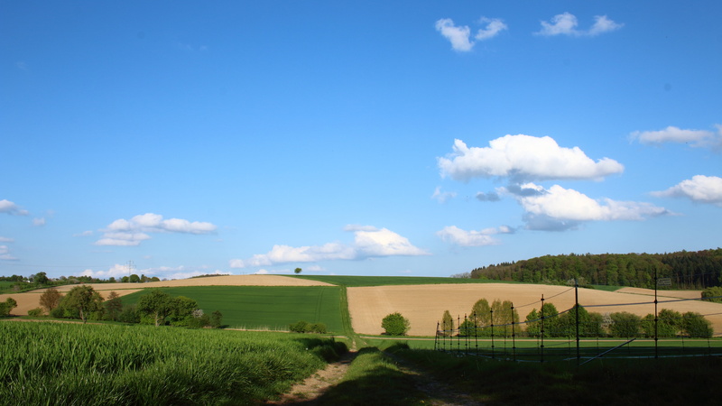 money, sky, cloud - sky, field, environment, clouds, rural scene, grass, rolling landscape, outdoors, mountains, nature, 5K, trees, land, blue, farm, green color