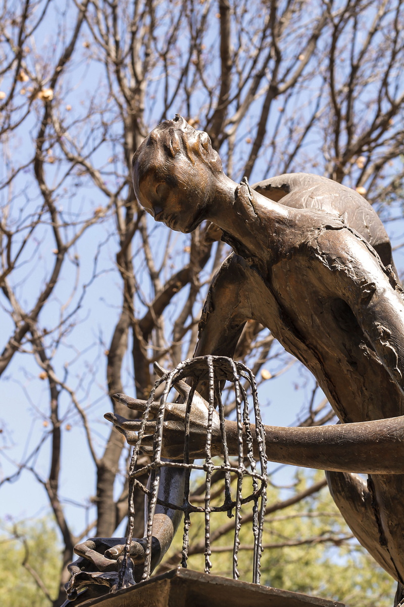 sculpture, one animal, 5K, statue, #cage #sculpture, animal wildlife, money, sky, mammal, leaf, wood, wildlife, tree trunk, day, plywood, animal themes