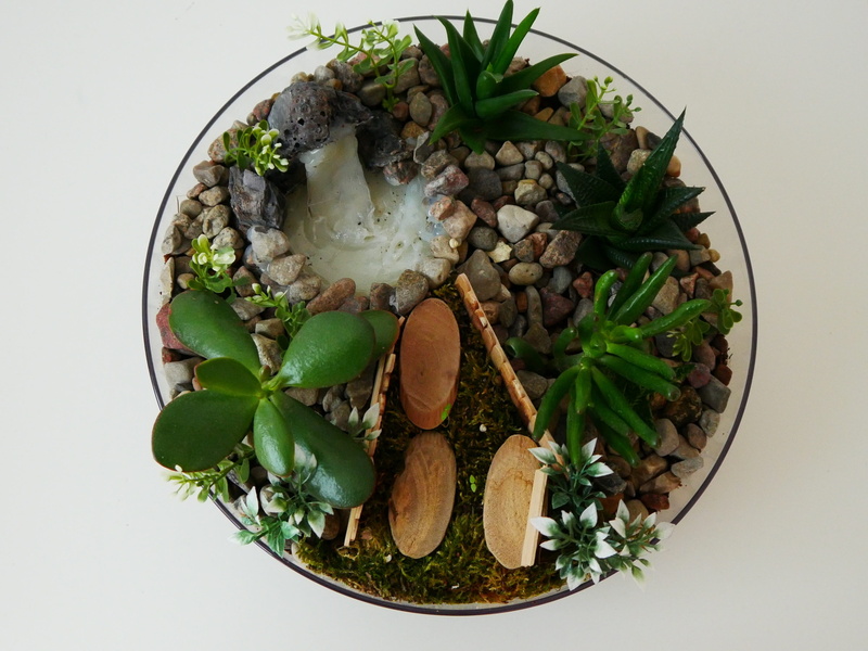 food, freshness, studio shot, wellbeing, grows, glass, directly above, leaf, no people, herb, green, money tree, decor, high angle view, decorative, green color