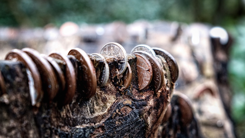 plant, outdoors, rusty, tree stump, nature, old, tree, security, textured, chain, history, money, no people, 5K, forest, rural, focus on foreground, pattern