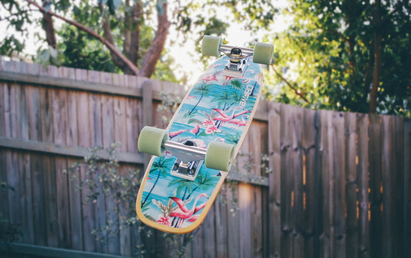 tree, skate, flamingo, no people, outdoors, wood - material, throwing, fence, plant, 5K, skateboard, near, on air, close-up, creativity, animal representation
