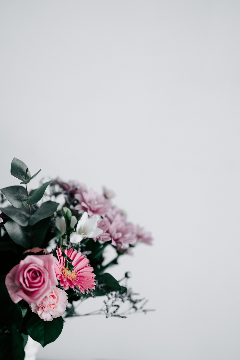 nature, floral, color, arrangement, white, flower, colour, 8K, pink, close-up, negative space, minimal, rose - Flower, blank space, bouquet, plant, wedding