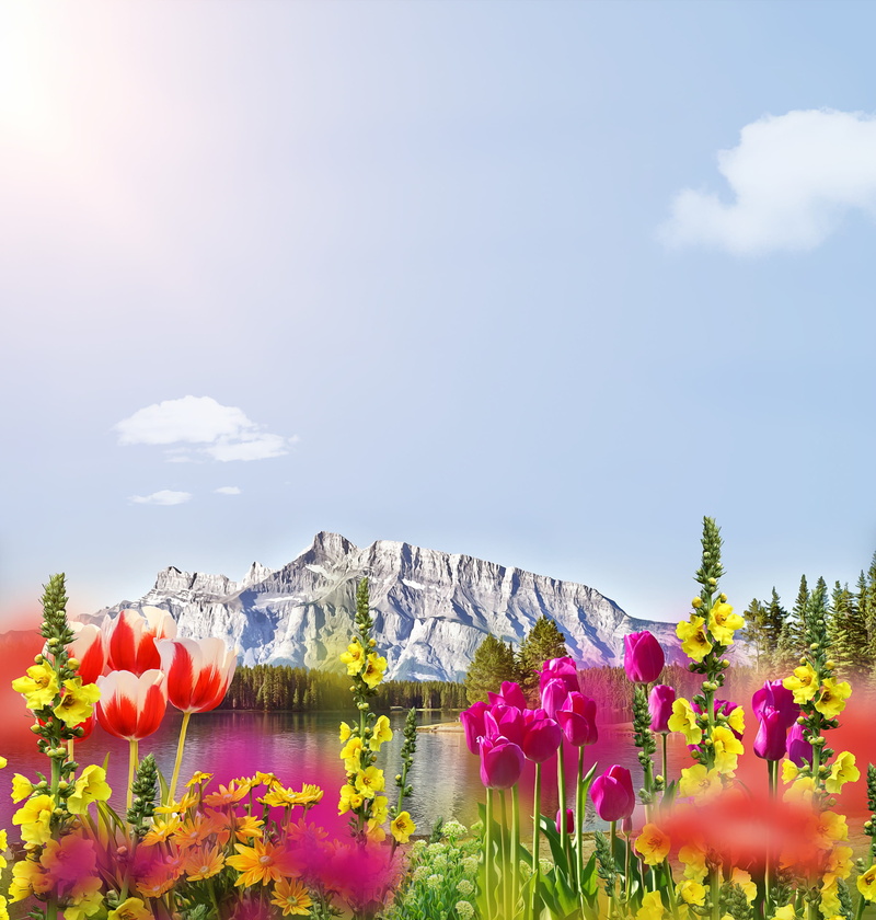 flowers, flower, copy space, scenics - nature, mountain, text dom, cloud - sky, vulnerability, 2K, nature, water, outdoors, tranquility, growth, flower head