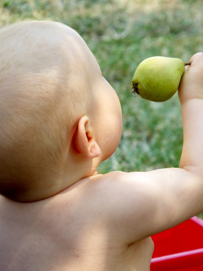 green color, of course, oral phase, apple - fruit, 4K, innocence, babyhood, Play, childhood, toddler, babies only, access, wellbeing, baby, fruit, healthy eating