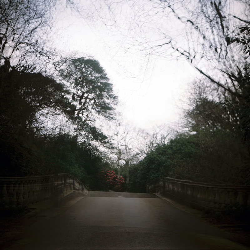 tranquil scene, 120mm, direction, land, film scan, beauty in nature, double, forest, diminishing perspective, exposure, film photo, tarmac, analog, tranquility