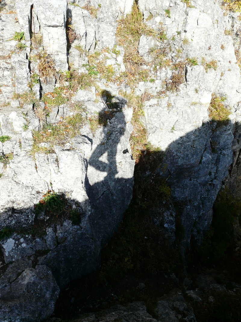 cinematographer, growth, sunlight, run, close-up, funny, males, beauty in nature, replica, outdoors, 2K, Shadow Play, photograph, leisure activity, no people