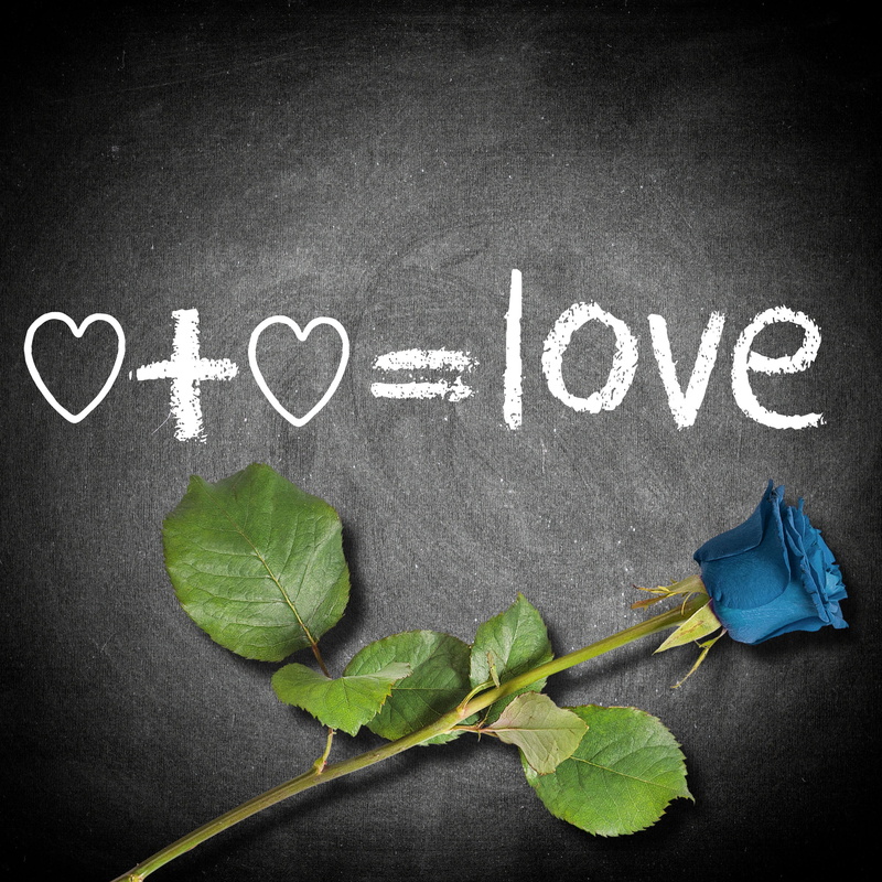 to write, handwriting, communication, message, inspiration, love, flower, no people, blackboard, leaf, nature, high angle view, plant, 2K, western script