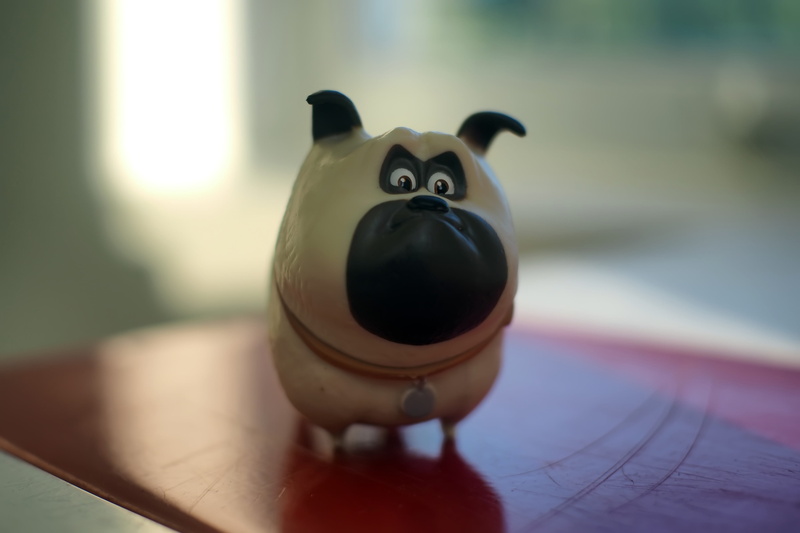 pets, human hand, anime, day, small, indoors, toy, adorable, life, representation, cute, animal themes, human body part, focus on foreground, dog, hand