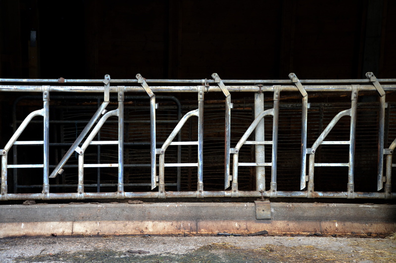 building, built structure, building exterior, food flu, factory farming, outdoors, safety, animals, security, city, animal husbandry, protection, material collection