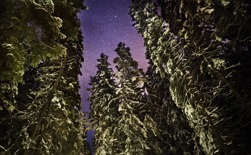 hd, tranquility, light, tree, scenics - nature, tranquil scene, 5dmarkii, plant, 5K, stars, canon, space, night, forest, sweden, snow, purple, beauty in nature