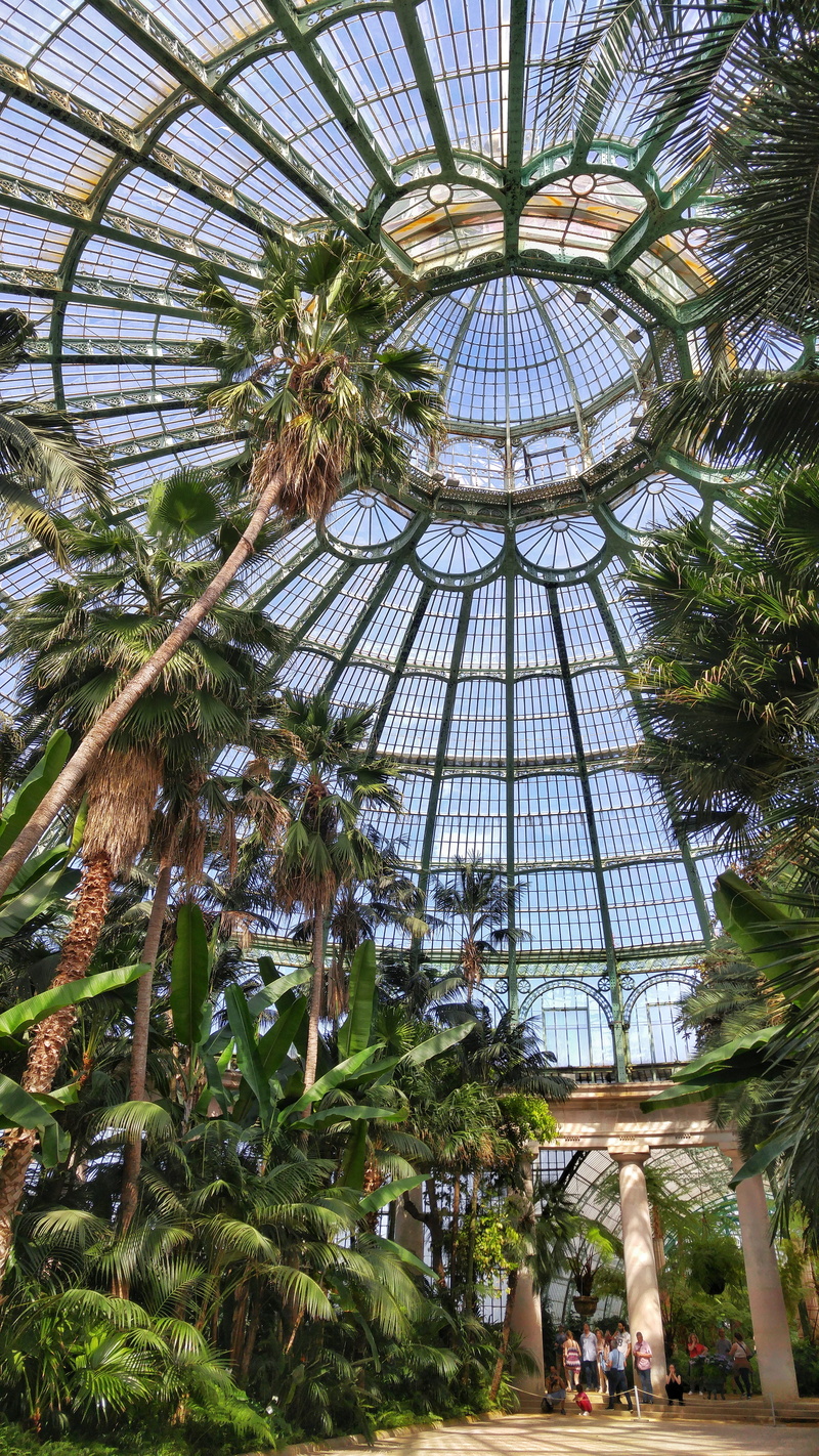 5K, skylight, photography, built structure, bruxelles, pattern, growth, ceiling, palm tree, belgium, snapseed, laeken, royal greenhouses of laeken, real people