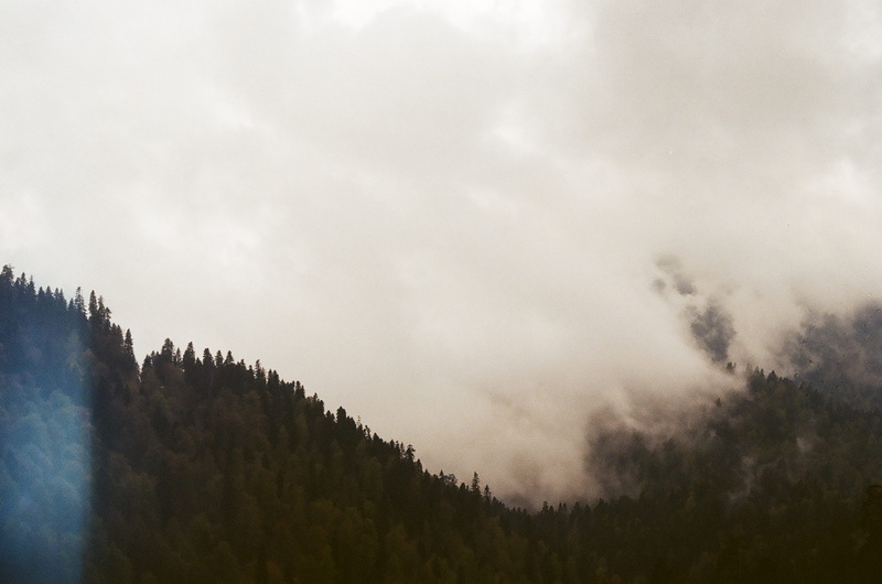 beauty in nature, environment, plant, trees, scenics - nature, 35mm, low angle view, day, no people, tranquility, forest, non-urban scene, mountain peak