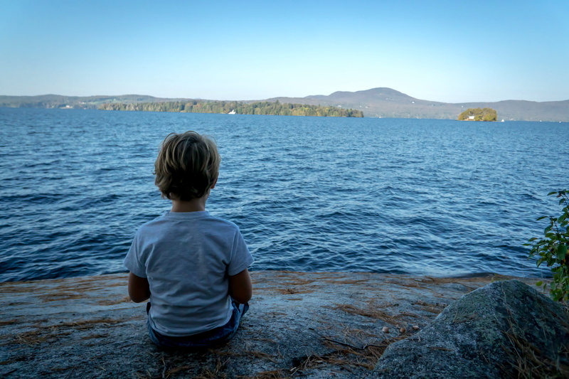 casual clothing, nature, males, real people, blue, leisure activity, kids, looking at view, lake memphremagog, clear sky, men, forest, landscape, rear view