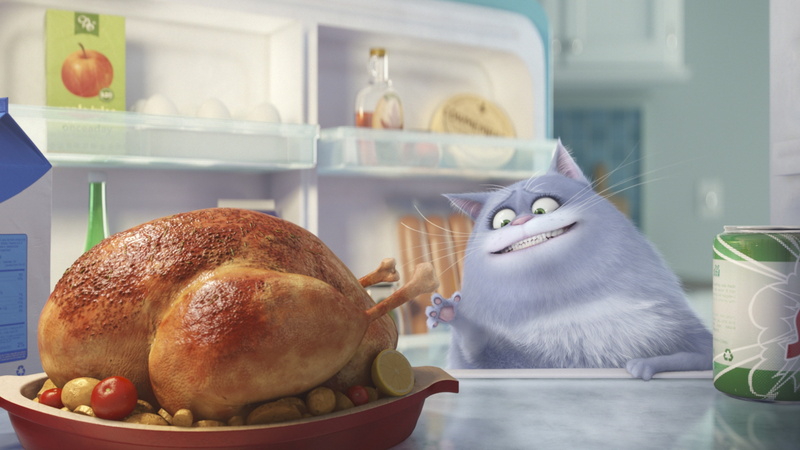 Best Animation Movies of 2015, cartoon, 4K, secret, The Secret Life of Pets, scene, life, movie, pets