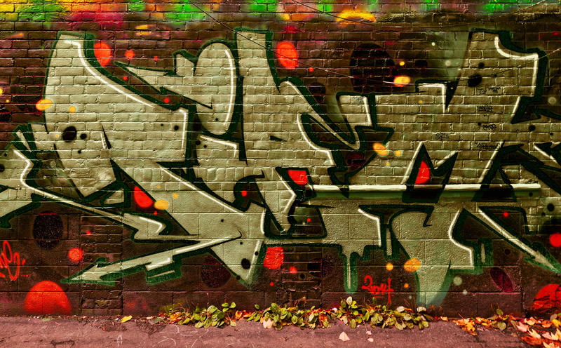 architecture, day, Alley, outdoors, nature, brown, street art, mural, messy, Toronto, wall - building feature, october, brick, falls, Wide, art and craft