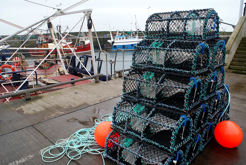 fishing boat, 4K, commercial fishing net, harbor, sea, moored, stack, no people, transportation, harbour, nautical vessel, creels, marine, fishing, day