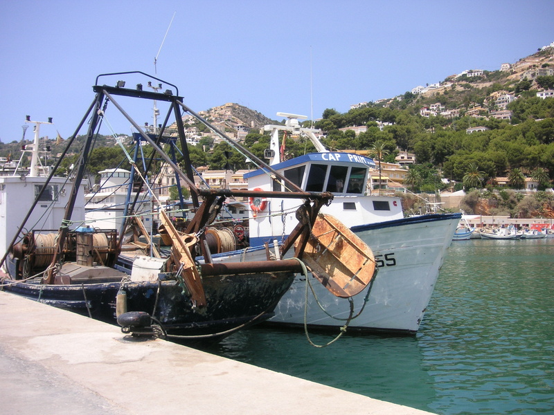 boats, 2K, plant, boat, port, fishing industry, marina, architecture, waterfront, coast, no people, summer, sky, day, anchored, spanish, sea, mode of transportation