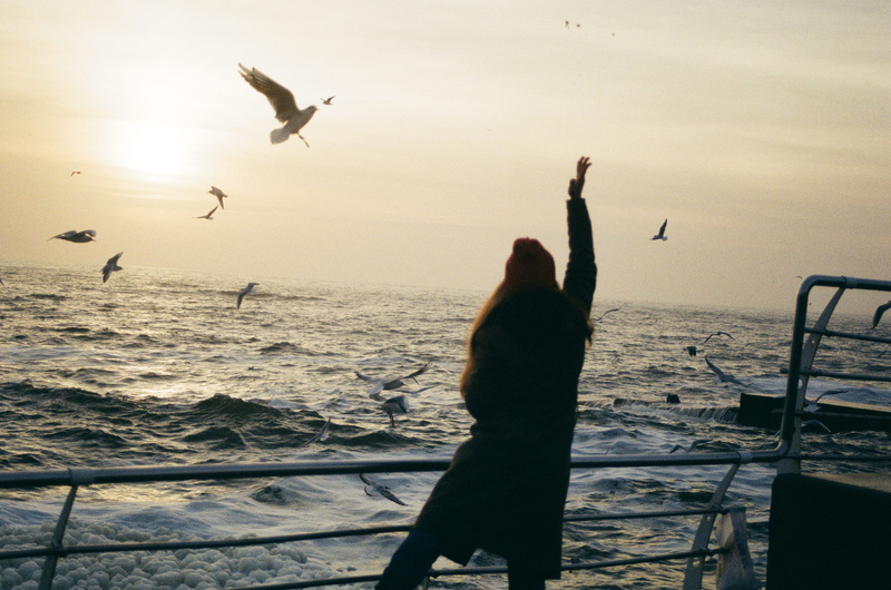 waves, sea, horizon over water, group of animals, water, bless, bird, human arm, fishing, flying, feeding, animal themes, ukraine, sky, odessa, person