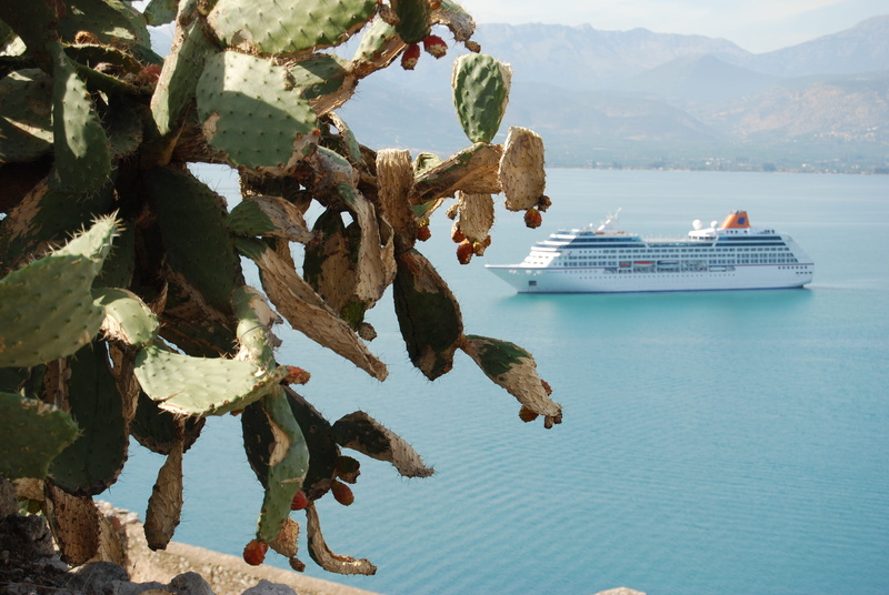 ship, leaf, mountain range, island, tree, cactus, sky, sea, no people, cactus blossom, columbus, beauty in nature, mountain, bloom, booked, transportation
