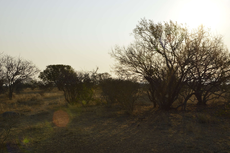 outdoors, 4K, ray of sunshine, tree, beauty in nature, scenics - nature, landscape, nature, field, no people, tranquil scene, sky, bush, environment, land