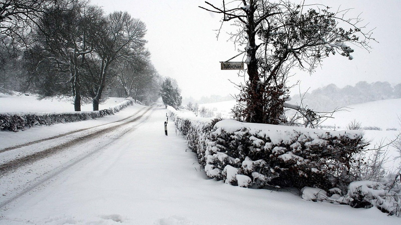 beautiful, country, nature and landscapes, road, countryside, trees, winter, bushes, 1080P