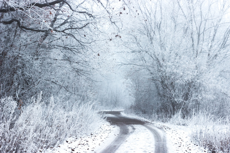 no people, daytime, 5K, frozen, snowing, snow, countryside, transportation, tranquility, direction, road, scenics - nature, beauty in nature, forest, plant