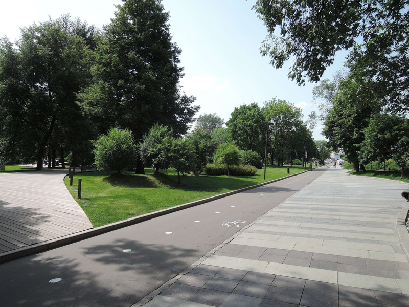 road, growth, beauty in nature, tranquility, museon park, park, footpath, tree, summer, treelined, outdoors, park - man made space, street, bushes, plant