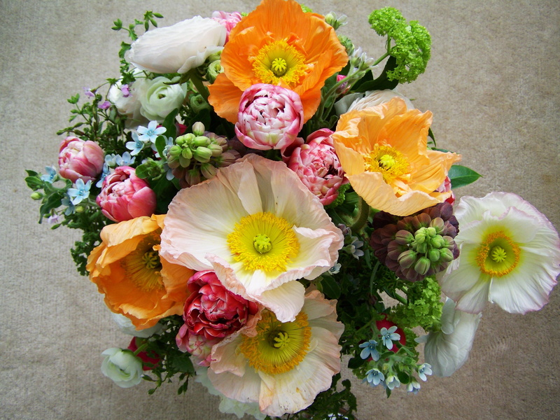 white flower, choice, gerbera Daisy, flowering plant, fragility, bouquet, petaled, beauty in nature, no people, flower bouquet, close-up, inflorescence