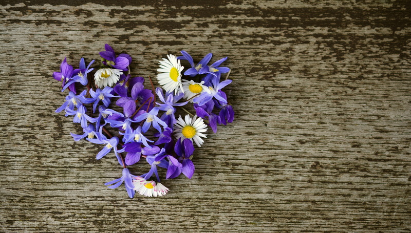 birthday greeting, heart, flower arrangement, star hyacinth, inflorescence, purple, spring blossoms, freshness, fragility, flower, flower heart, beauty in nature