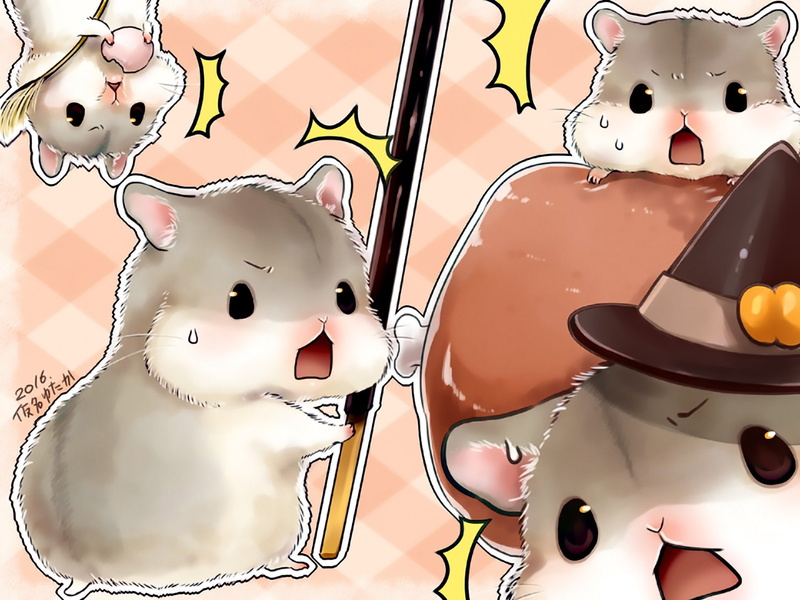 Hamster, 1080P, Anime, Original, Cute