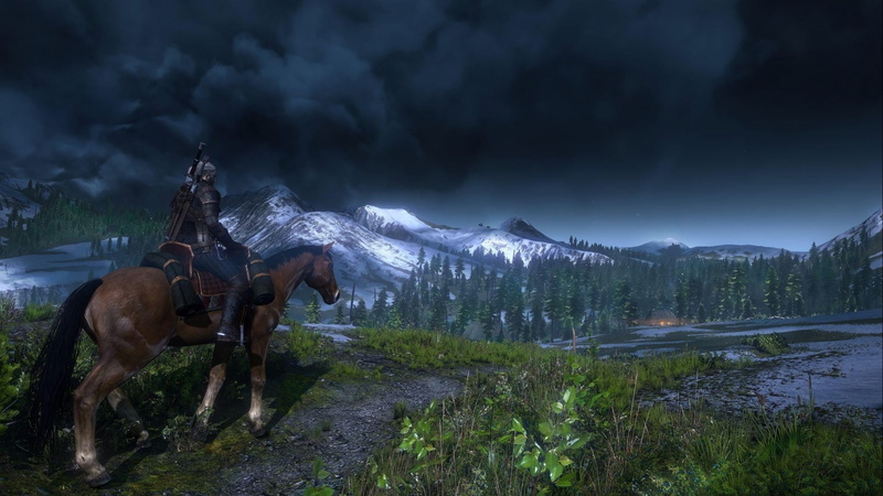 animal wildlife, horse, snowcapped mountain, cloud - sky, livestock, beauty in nature, scenics - nature, landscape, plant, mountain, nature, The Witcher 3: Wild Hunt