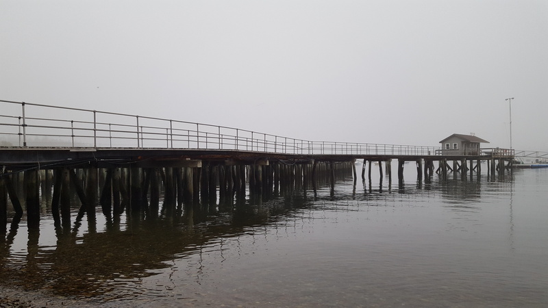 maine, nature, mount desert island, bridge - man made structure, copy space, building exterior, built structure, bridge, sea, reflection, foggy, 5K, day