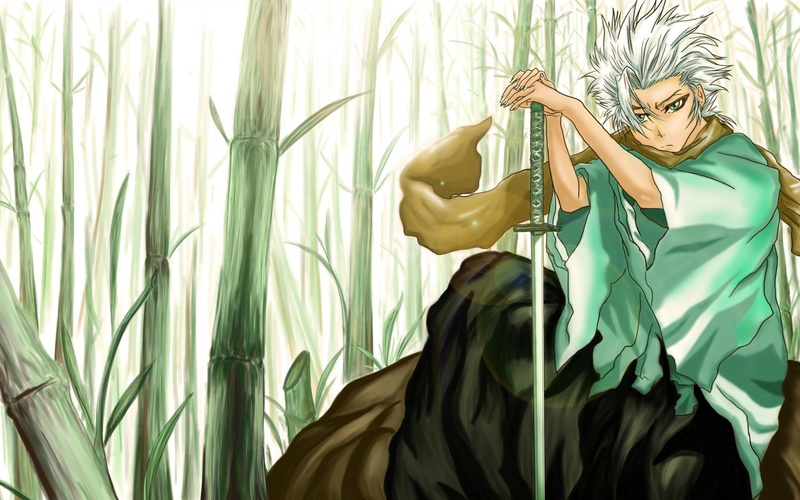 1080P, hitsugaya, bleach, toshiro