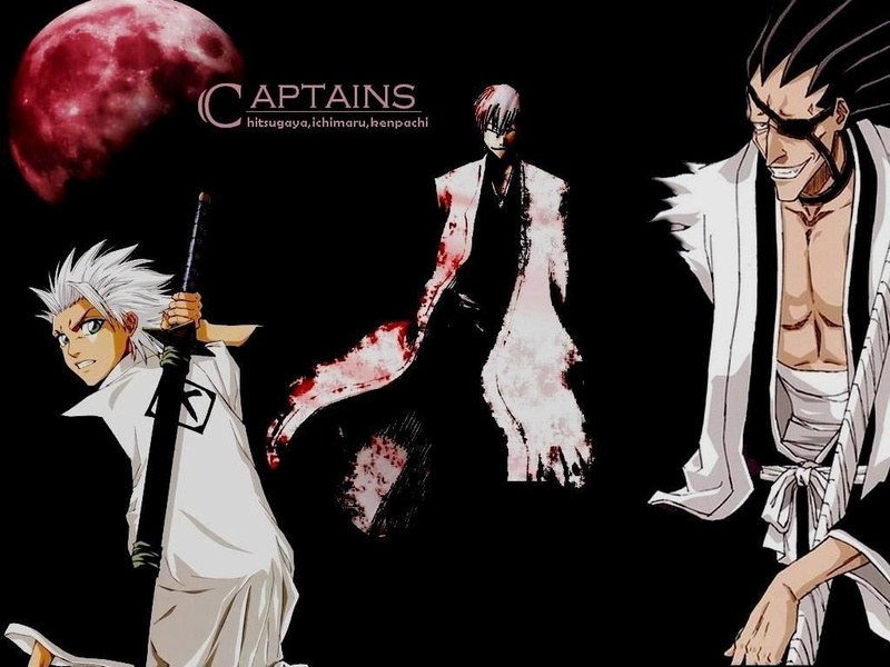 bleach, ichimaru, kenpachi, toshiro, x, hd, gin, captains, zaraki, hitsugaya, anime, Zaraki Kenpachi, 480P, art