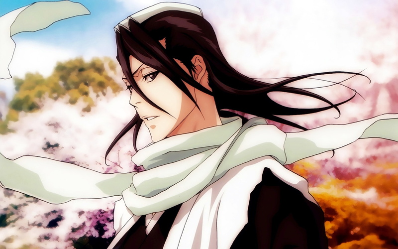 kuchiki, bleach, 1080P, byakuya