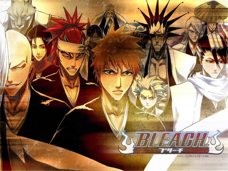 Tōshirō Hitsugaya, Mayuri Kurotsuchi, Kaname Tosen, Yumichika Ayasegawa, Ichigo Kurosaki, 720P, Bleach, Renji Abarai, Ikkaku Madarame, Genryūsai Shigekuni Yamamoto