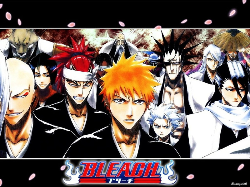 Kenpachi Zaraki, Bleach, Tōshirō Hitsugaya, Yumichika Ayasegawa, Genryūsai Shigekuni Yamamoto, Shunsui Kyōraku, Sajin Komamura, Ichigo Kurosaki, Byakuya Kuchiki