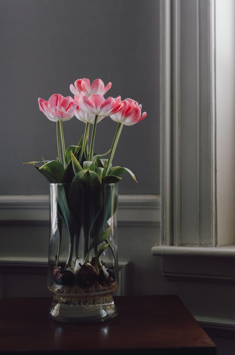 petal, indoors, nature, decoration, bouquet, flower arrangement, arrangement, wood - Material, vulnerability, tulip, Flowers, table, 2K, beauty in nature