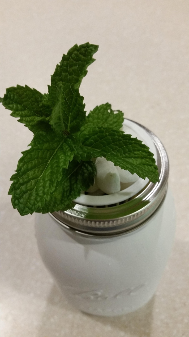 temptation, mason jar herbs, leaves, table, herb, freshness, no people, food and drink, mason jar hydroponics, leaf, garnish, wellbeing, yogurt, 5K, Mason Jar