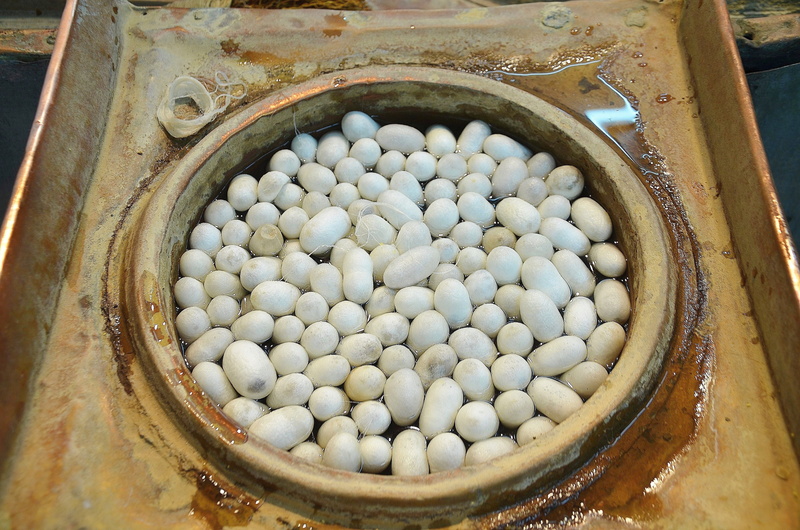 brown, large group of objects, container, fiber, white, high angle view, indoors, silk, texture, egg, silkworm, sliced, directly above, old, no people