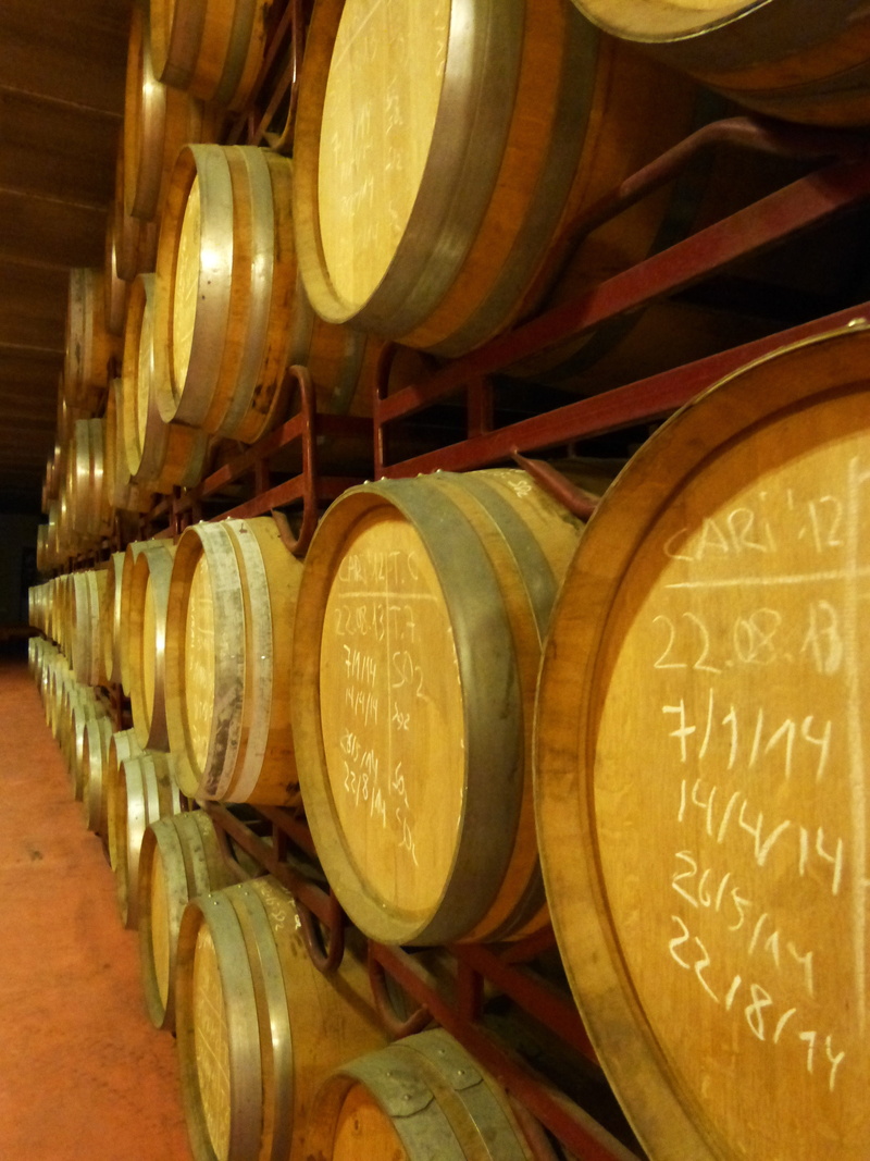 wine, wine cask, wood - material, cylinder, winemaking, no people, barrel, container, drink, indoors, winery, ageing of wine, food and drink, food and drink industry