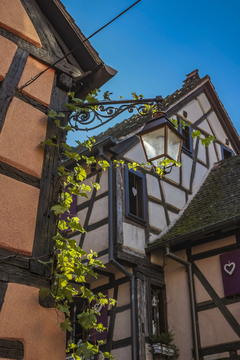 weinstrasse, street light, roof, house, france, built structure, clear sky, 5K, plant, building, riquewihr, old town, lighting equipment, alsace, outdoors