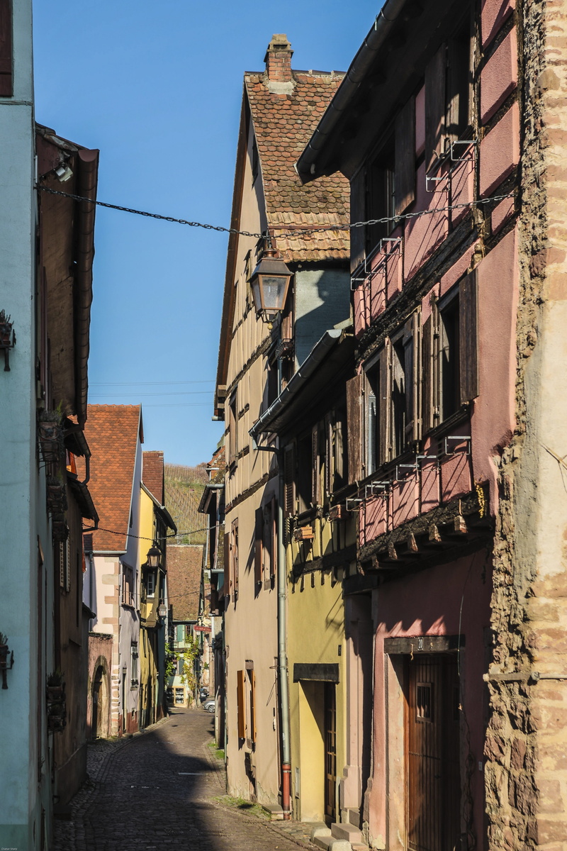 sunlight, historically, architecture, day, building exterior, kaysersberg, old town, nature, city, 5K, built structure, france, window, clear sky, weinstrasse