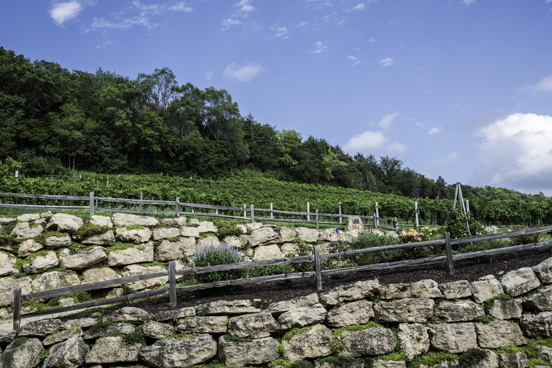 old Ruin, no people, green Color, day, stone Material, outdoors, cloud - sky, sky, photo, famous Place, tranquil scene, field, stone wall, plant, 5K, tranquility