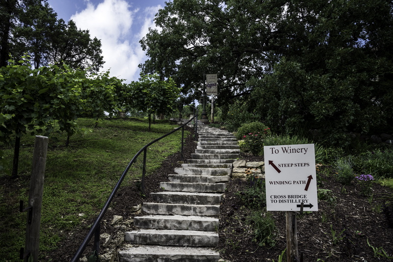 no people, United States, railing, the way forward, green color, steps and staircases, information, text, nature, up, western script, cloud - sky, tree