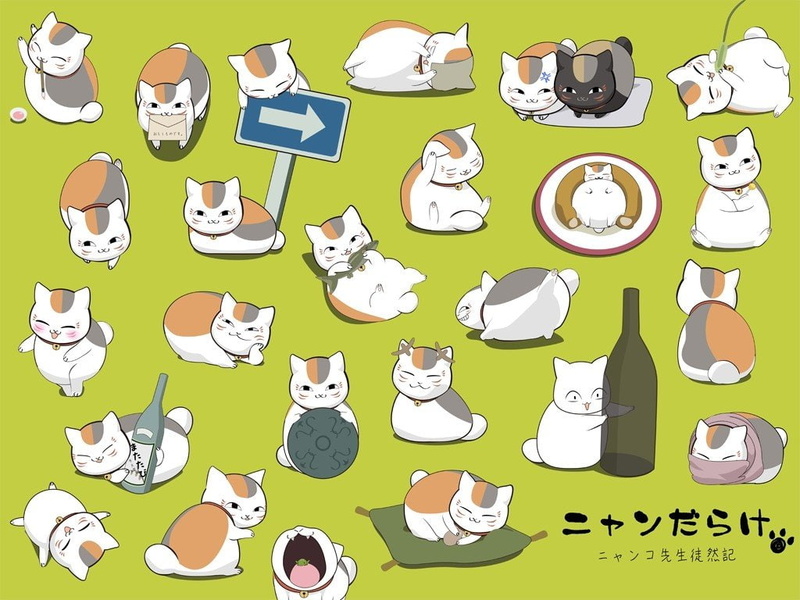 Natsume Book of Friends, Natsume Yuujinchou, 480P