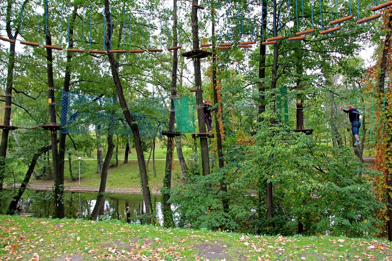 rhytidectomy, tranquil scene, built structure, rope, the ladder, scenics - nature, barrier, tranquility, growth, green color, climbing, boundary, outdoors