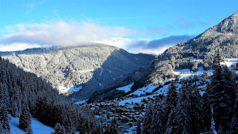 mountains, the snow-capped peaks, panorama, sunny, pine tree, white color, environment, panorama of the city, blue, mountain range, sky, tranquility, the alps