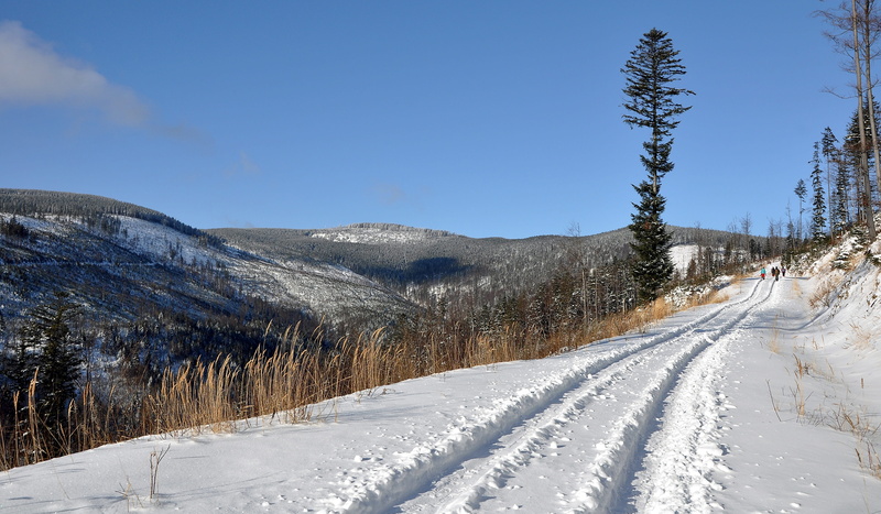 landscape, plant, outdoors, snow, december, cold, way, winter, frost, no people, snowcapped mountain, land, snowing, sky, environment, transportation, forest